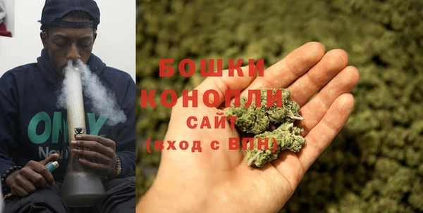 стаф Бородино