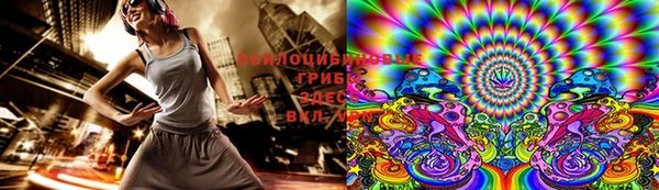 прущие грибы Россошь