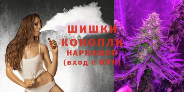 прущие грибы Россошь