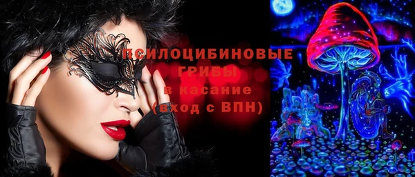 стафф Верхний Тагил