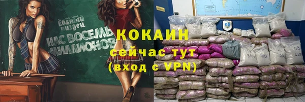 стафф Верхний Тагил